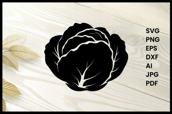 Cabbage Silhouette Illustration