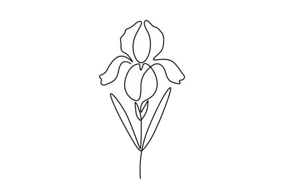 Iris Flower Line Art Review